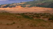 PICTURES/Coral Pink Sand Dunes/t_Dunes6.JPG